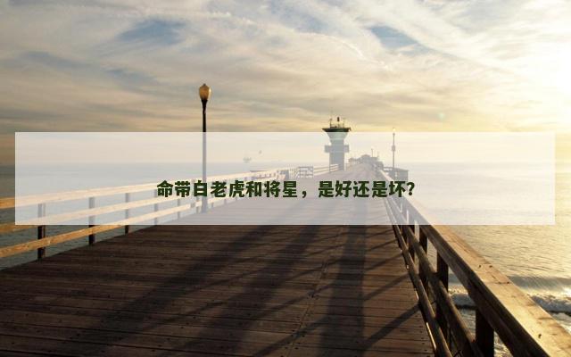 命带白老虎和将星，是好还是坏？