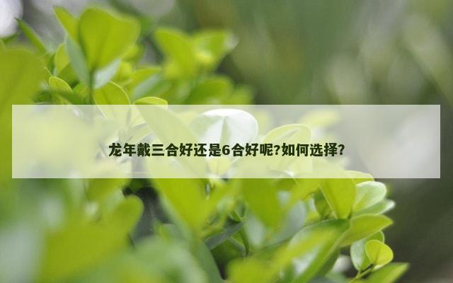 龙年戴三合好还是6合好呢?如何选择？