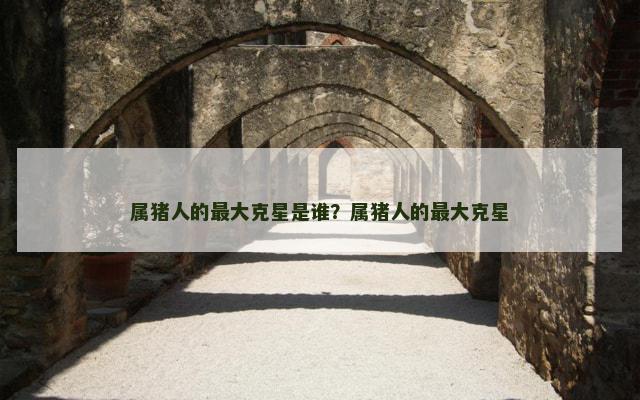 属猪人的最大克星是谁？属猪人的最大克星