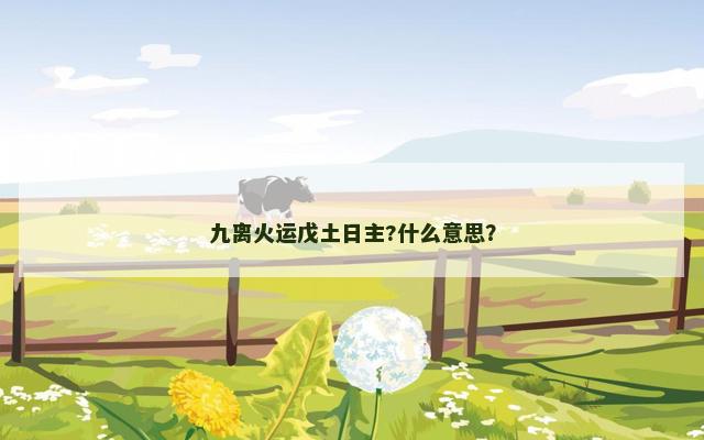 九离火运戊土日主?什么意思？