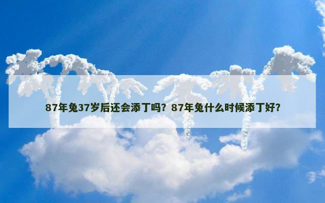 87年兔37岁后还会添丁吗？87年兔什么时候添丁好？