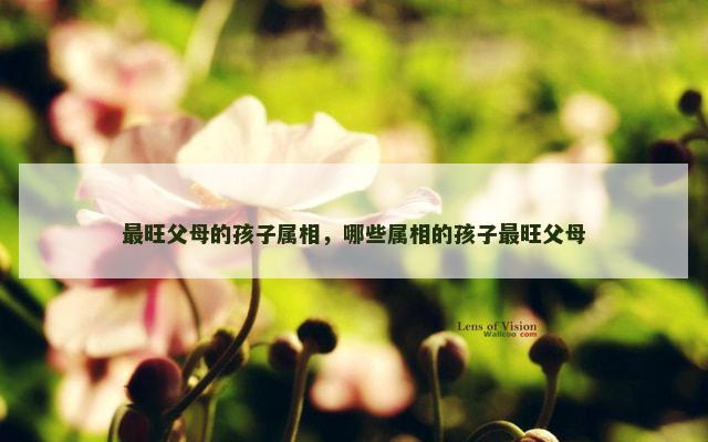 最旺父母的孩子属相，哪些属相的孩子最旺父母