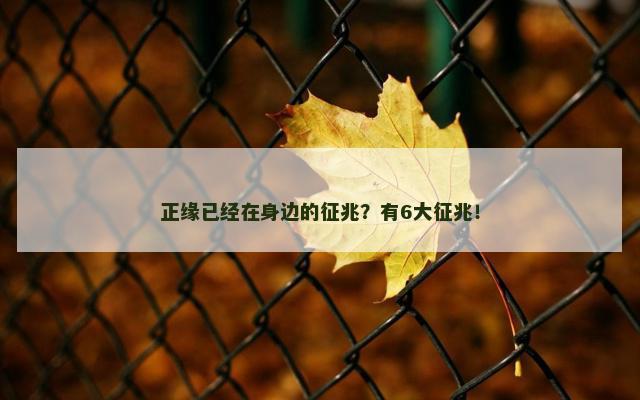 正缘已经在身边的征兆？有6大征兆！