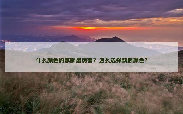 什么颜色的麒麟最厉害？怎么选择麒麟颜色？