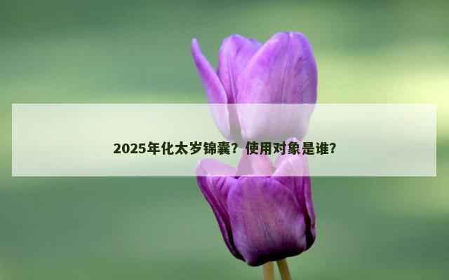 2025年化太岁锦囊？使用对象是谁？
