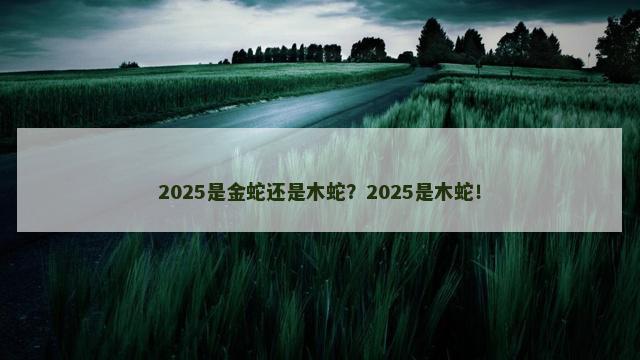 2025是金蛇还是木蛇？2025是木蛇！