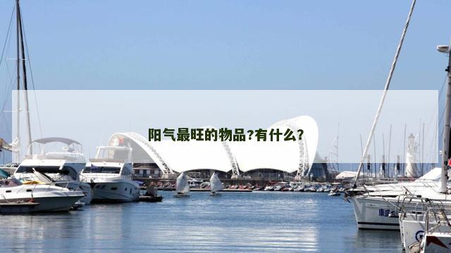 阳气最旺的物品?有什么？