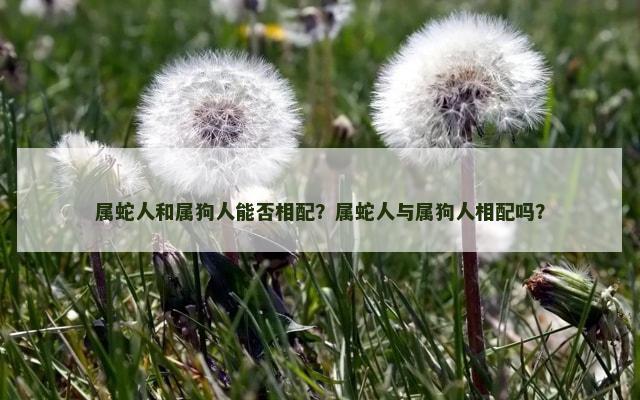属蛇人和属狗人能否相配？属蛇人与属狗人相配吗？