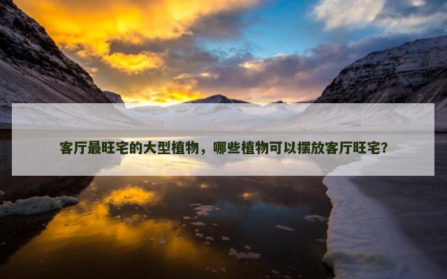 客厅最旺宅的大型植物，哪些植物可以摆放客厅旺宅？