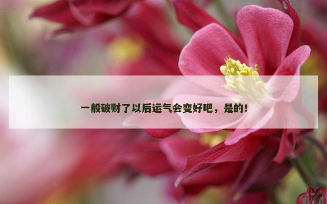 一般破财了以后运气会变好吧，是的！