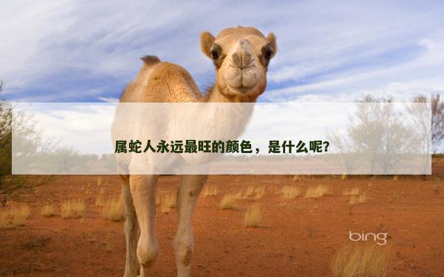 属蛇人永远最旺的颜色，是什么呢？