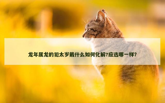 龙年属龙的犯太岁戴什么如何化解?应选哪一样？