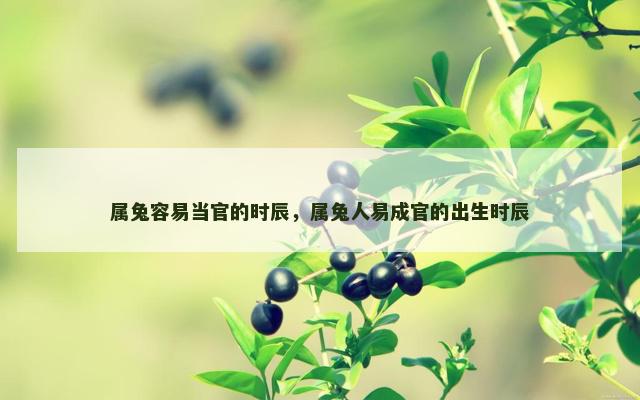 属兔容易当官的时辰，属兔人易成官的出生时辰