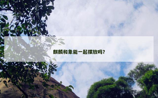 麒麟和象能一起摆放吗？