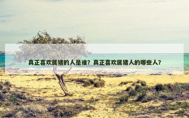 真正喜欢属猪的人是谁？真正喜欢属猪人的哪些人？