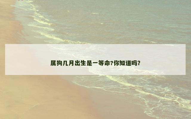 属狗几月出生是一等命?你知道吗？