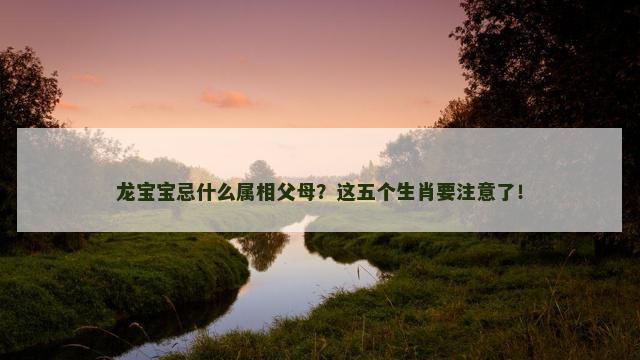 龙宝宝忌什么属相父母？这五个生肖要注意了！