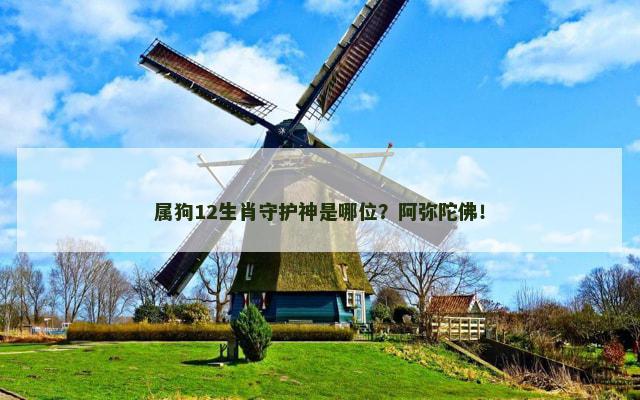 属狗12生肖守护神是哪位？阿弥陀佛！