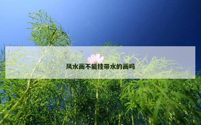 风水画不能挂带水的画吗