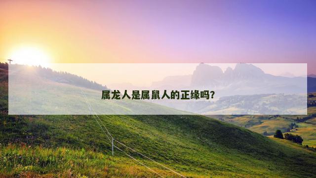 属龙人是属鼠人的正缘吗？