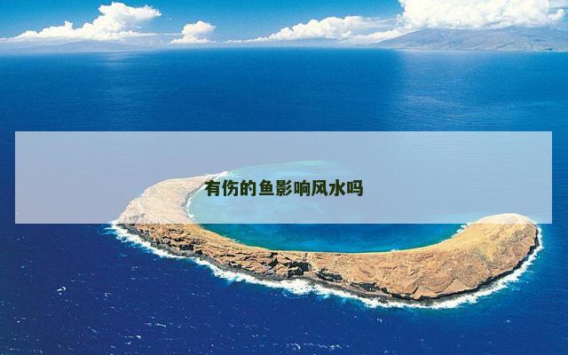 有伤的鱼影响风水吗