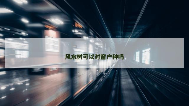风水树可以对窗户种吗