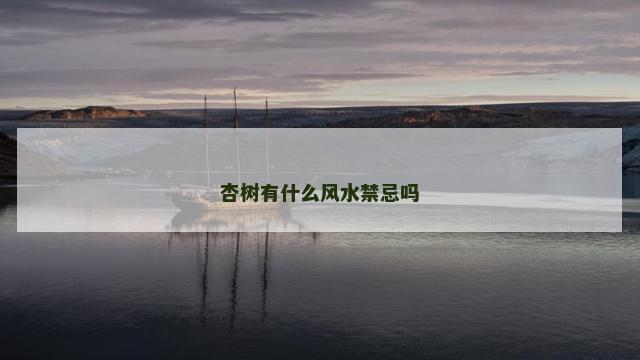 杏树有什么风水禁忌吗
