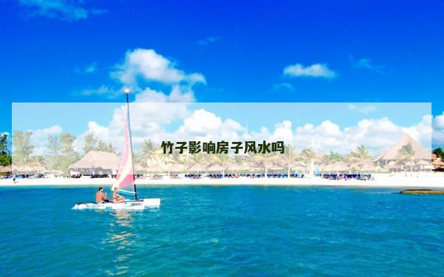 竹子影响房子风水吗