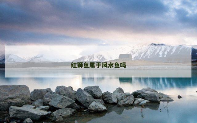 红狮鱼属于风水鱼吗