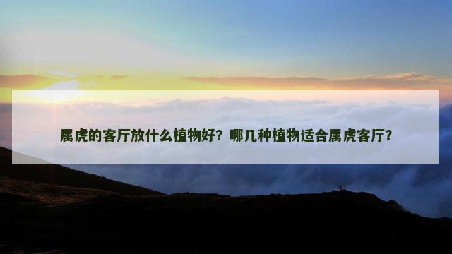 属虎的客厅放什么植物好？哪几种植物适合属虎客厅？