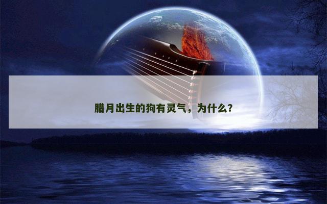 腊月出生的狗有灵气，为什么？