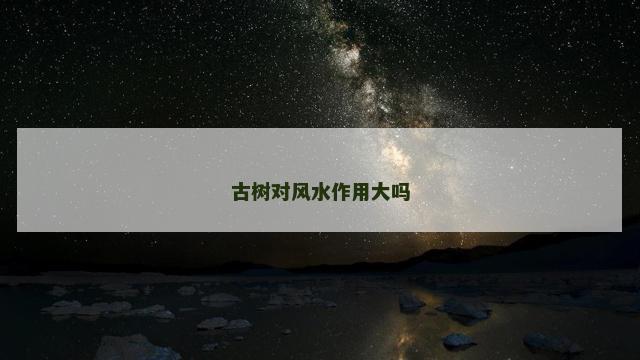 古树对风水作用大吗