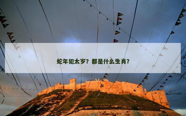 蛇年犯太岁？都是什么生肖？