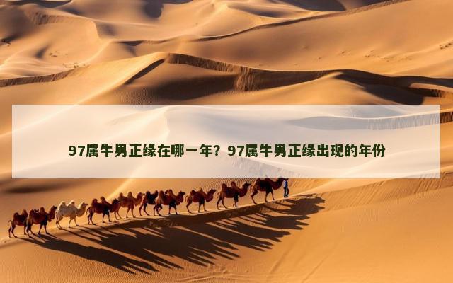 97属牛男正缘在哪一年？97属牛男正缘出现的年份