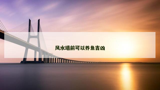 风水墙前可以养鱼吉凶