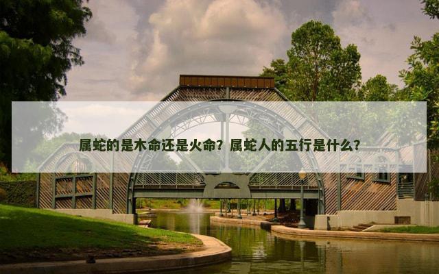 属蛇的是木命还是火命？属蛇人的五行是什么？