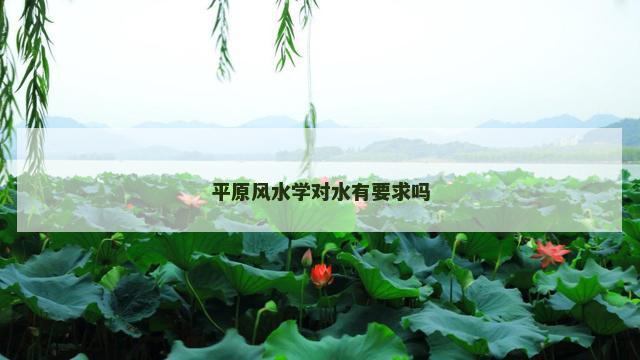 平原风水学对水有要求吗
