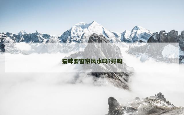 猫咪要窗帘风水吗?好吗