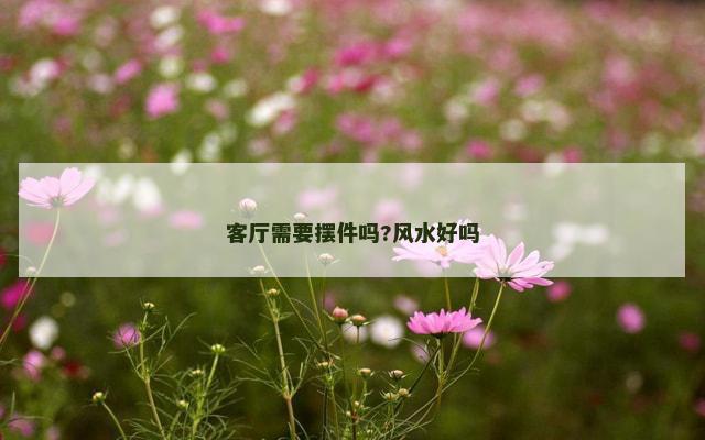 客厅需要摆件吗?风水好吗