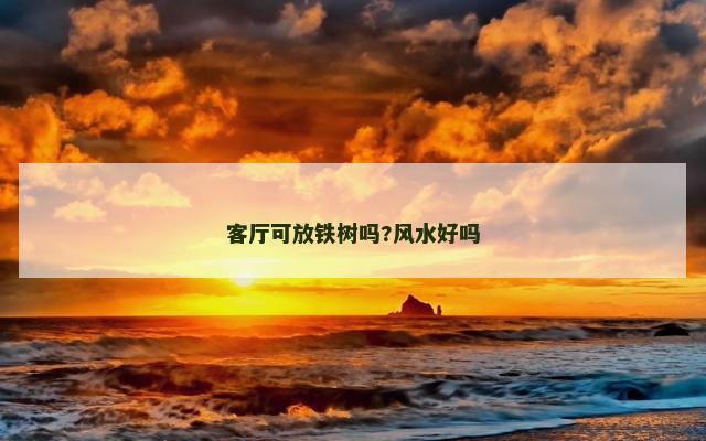 客厅可放铁树吗?风水好吗