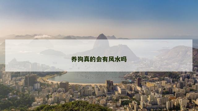 养狗真的会有风水吗