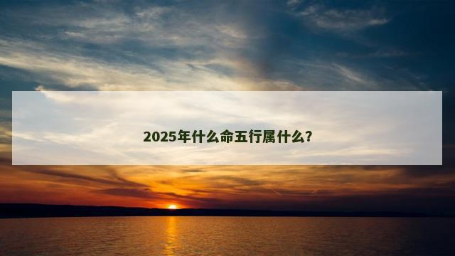 2025年什么命五行属什么？