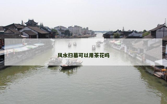 风水扫墓可以用茶花吗