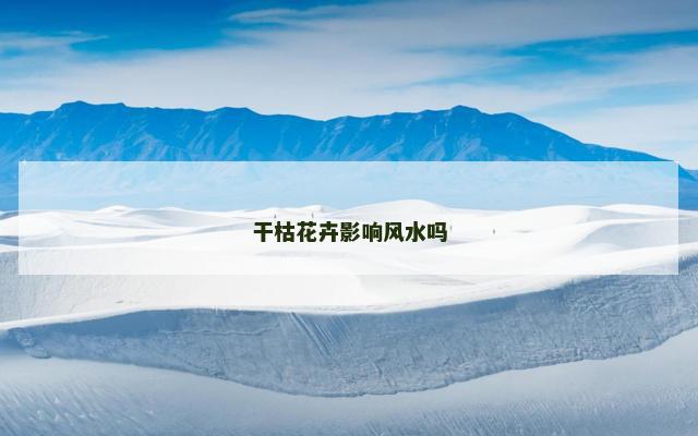 干枯花卉影响风水吗