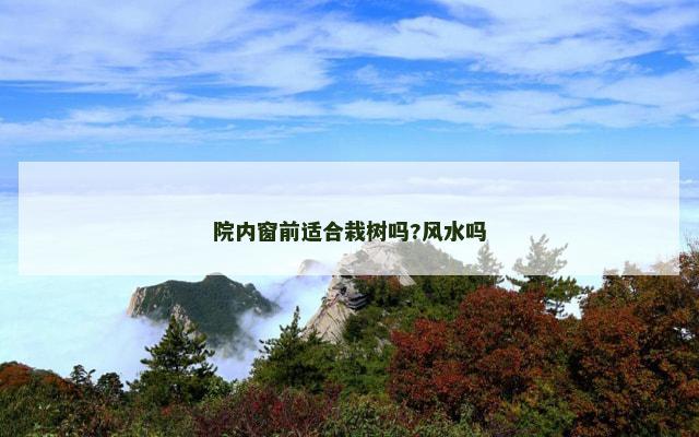 院内窗前适合栽树吗?风水吗