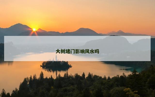 大树堵门影响风水吗