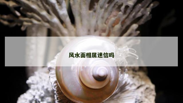 风水面相属迷信吗