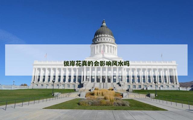彼岸花真的会影响风水吗