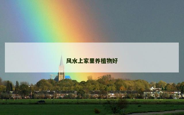 风水上家里养植物好