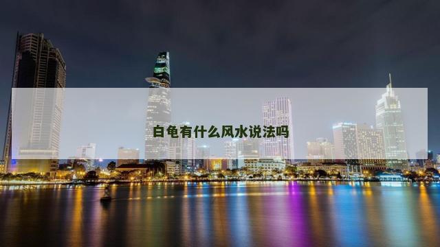 白龟有什么风水说法吗
